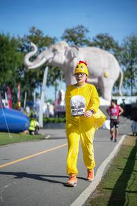 BIB: 
                            <button type="button" onclick="openModal(26542761)" class="btn btn-primary btn-sm float-right btn-popup" data-toggle="modal" data-target=".modal-high-quality">
                        <i class="fas fa-shopping-cart"></i> Add to Cart
                    </button>
                                            <button type="button" onclick="isThisMe(26542761, true)" class="btn btn-success btn-sm float-right btn-popup btn-isme hidden" data-toggle="tooltip" data-placement="bottom" title="นี่คือรูปของคุณใช่ไหม คลิกที่นี่เพื่อเอาเข้าอัลบั้ม">
                        <i class="fas fa-plus"></i> Add to album
                    </button>
                    <button type="button" onclick="isThisMe(26542761, false)" class="btn btn-warning btn-sm float-right btn-popup btn-isnotme hidden">
                        <i class="fas fa-ban"></i> Remove from album
                    </button>